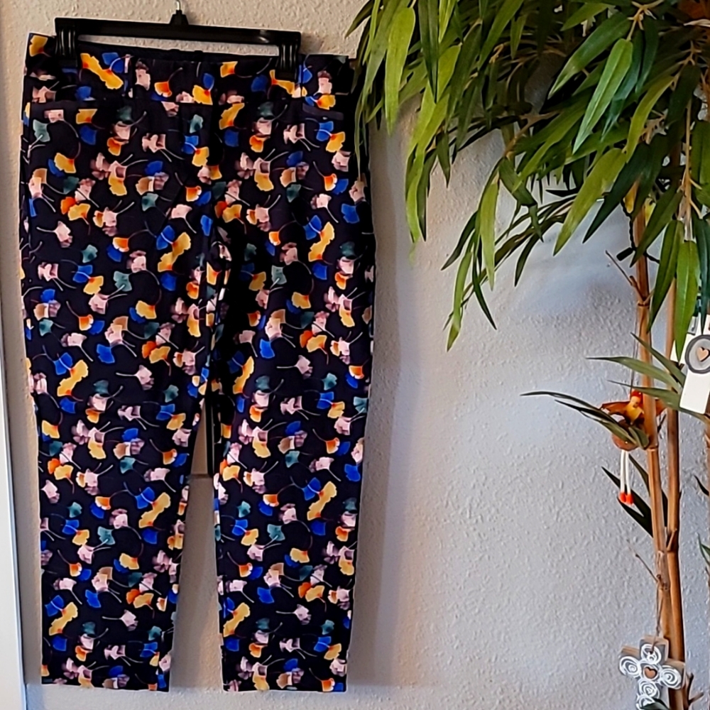 Limited Capri 10